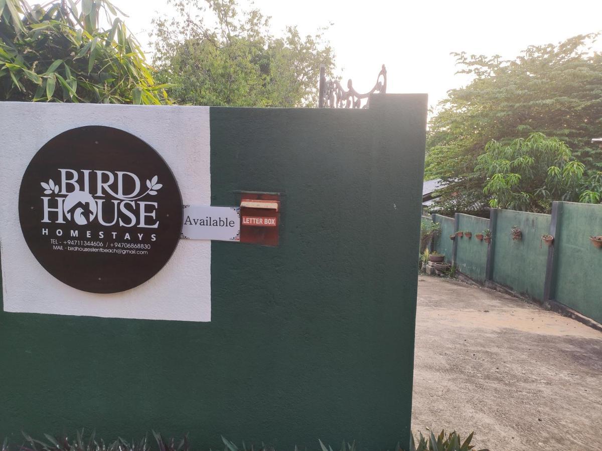 Bird House Homestays タンガラ エクステリア 写真